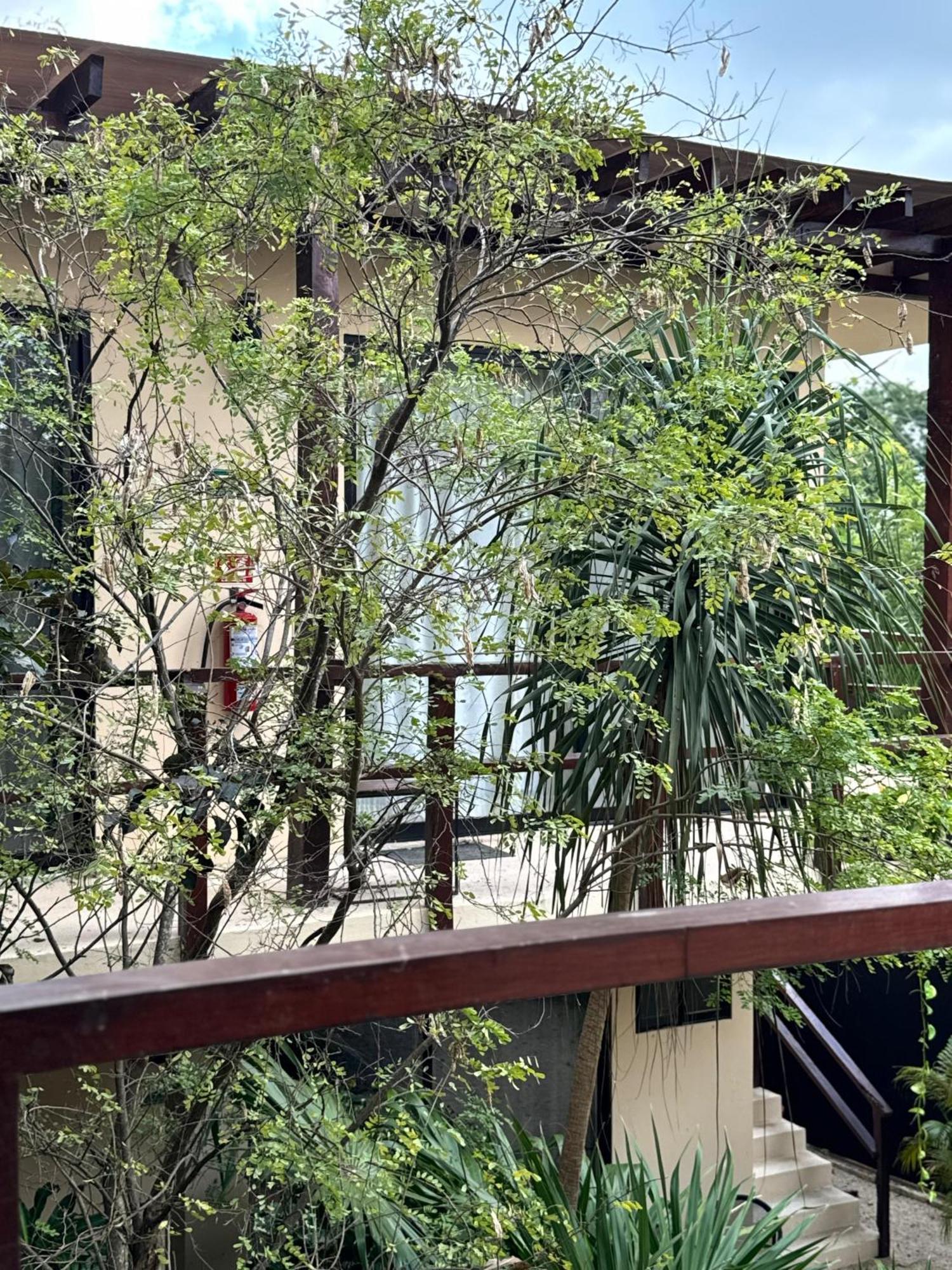 Starfit Hotel Boutique Beachclub, Spa & Gym Included トゥルム エクステリア 写真